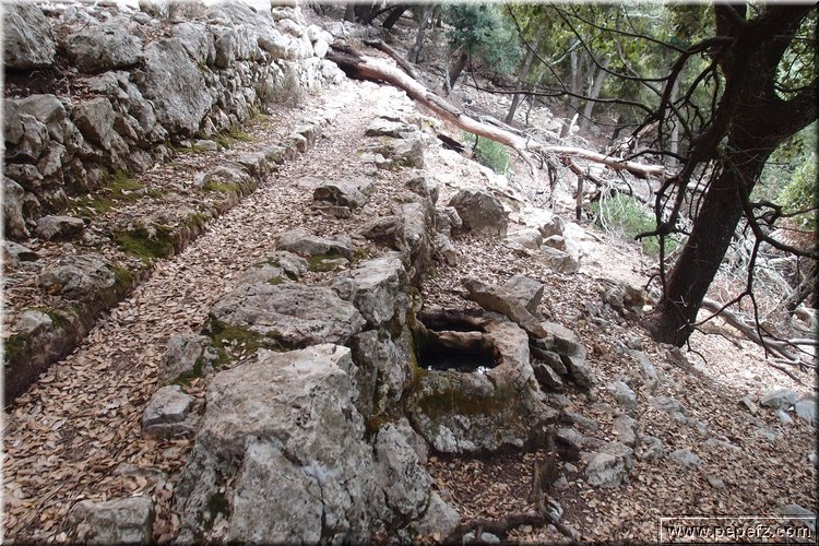 PA035559.JPG