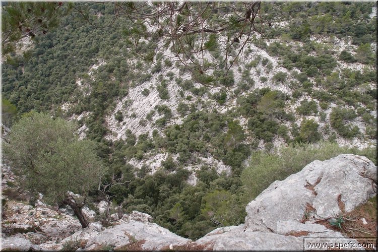 PA035565.JPG