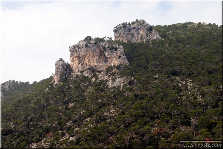 PA035566.JPG