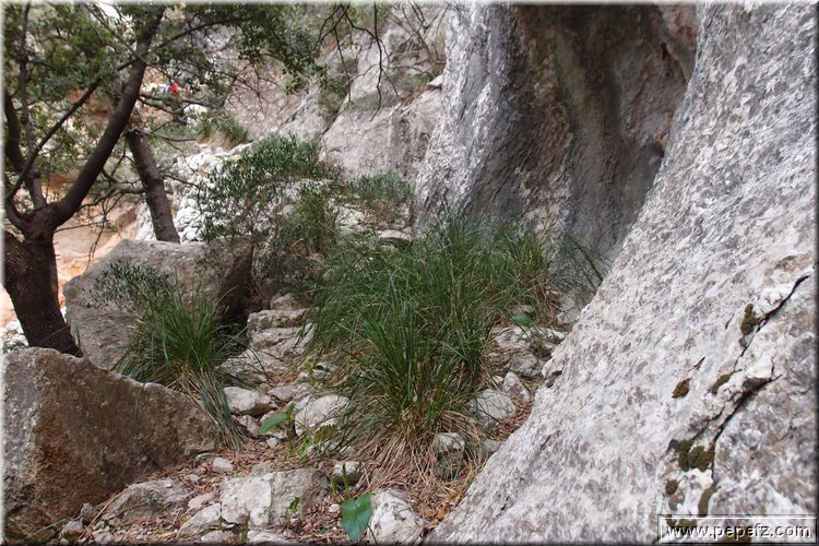 PA035586.JPG