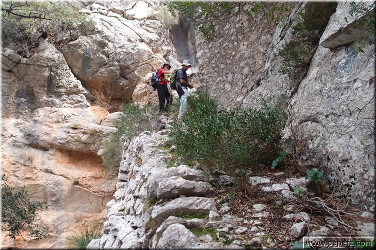 PA035589.JPG