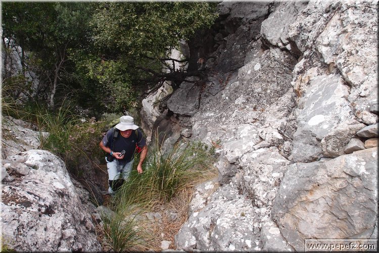 PA035595.JPG