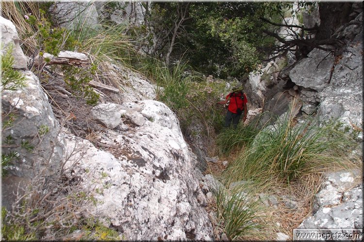PA035598.JPG