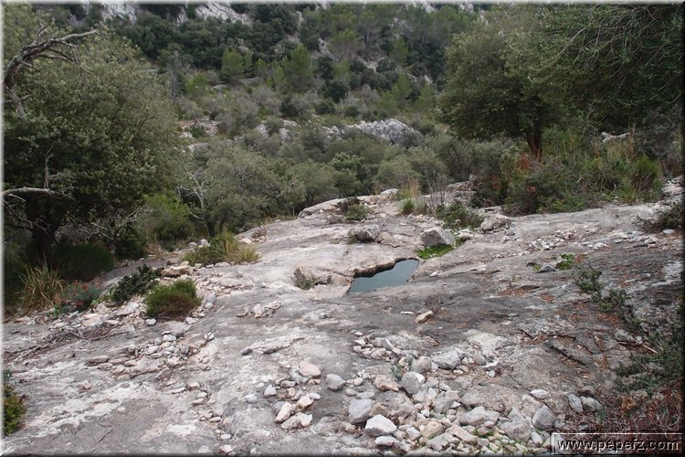 PA035599.JPG