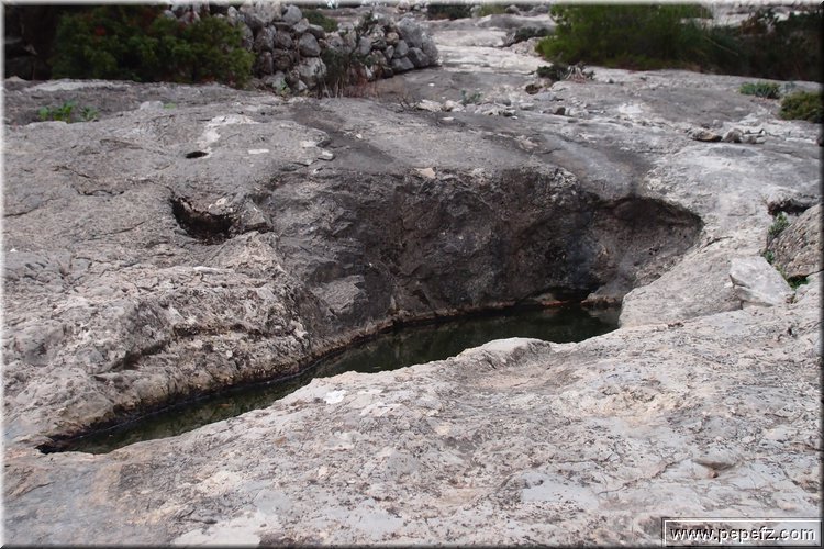 PA035602.JPG