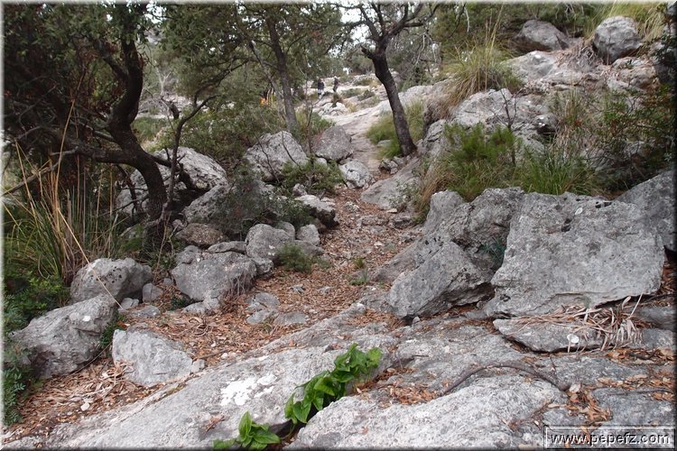 PA035603.JPG