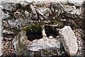 PA035558.JPG