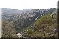 PA035568.JPG