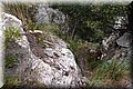 PA035596.JPG