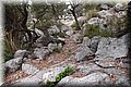 PA035603.JPG