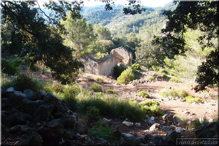 PA075633.JPG
