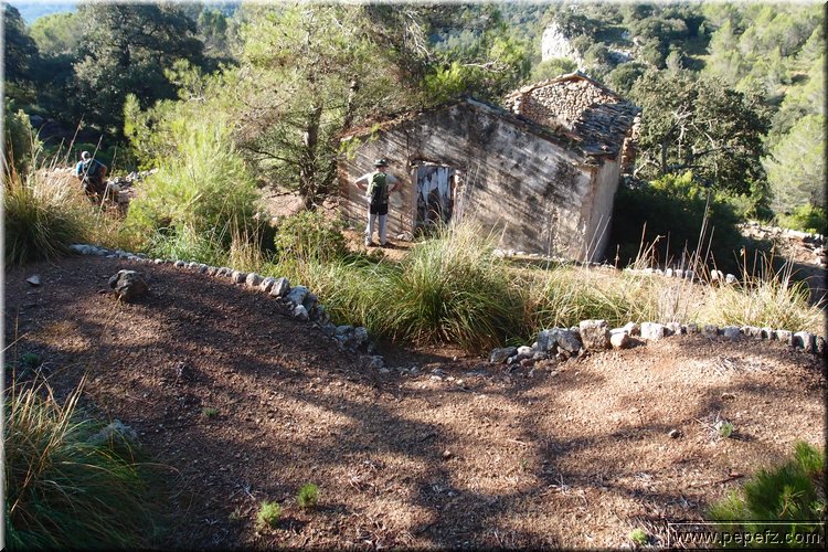 PA075634.JPG