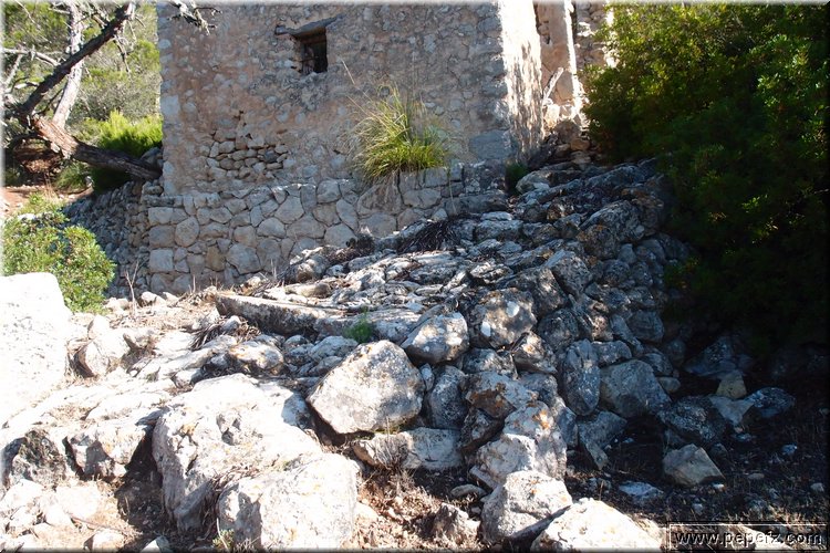 PA075638.JPG
