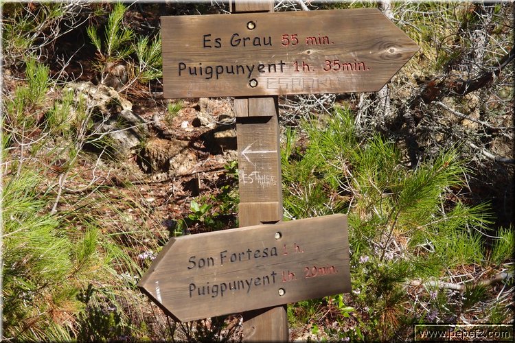 PA075640.JPG