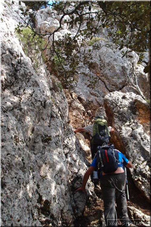 PA075641.JPG