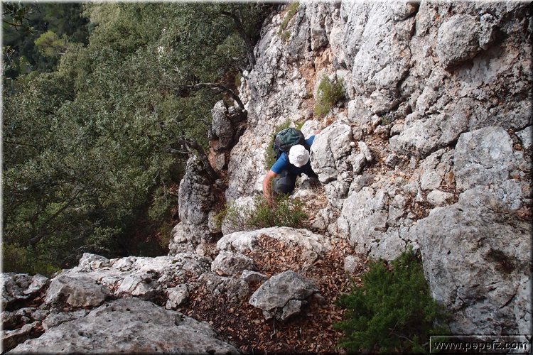 PA075643.JPG