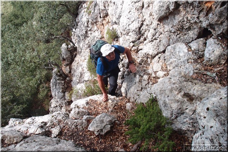 PA075645.JPG