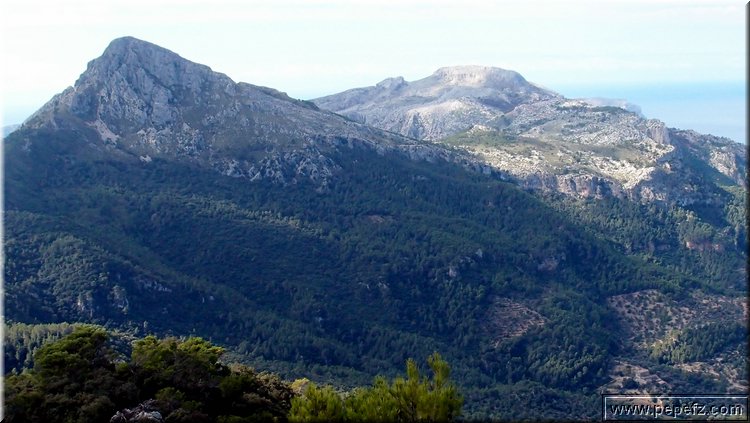 PA075651.JPG