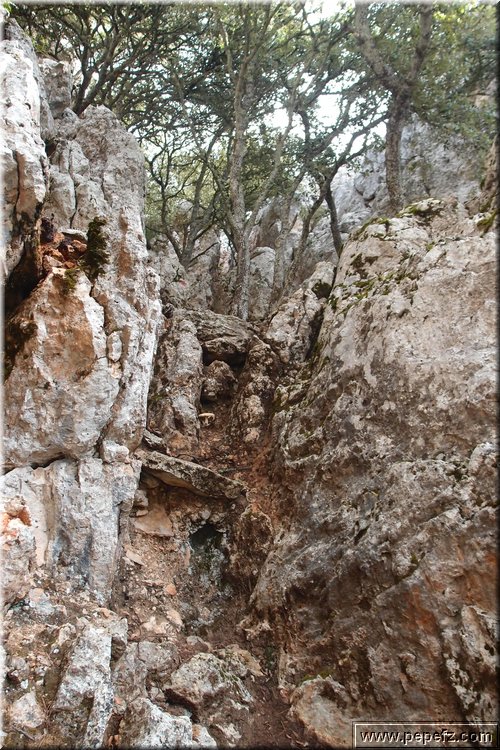 PA075653.JPG