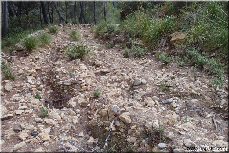PA075662.JPG