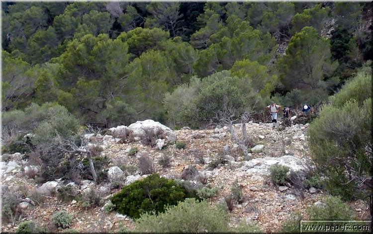 PA075669.JPG