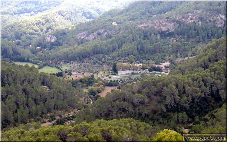 PA075672.JPG