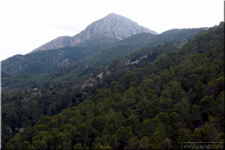 PA075676.JPG