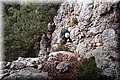 PA075643.JPG