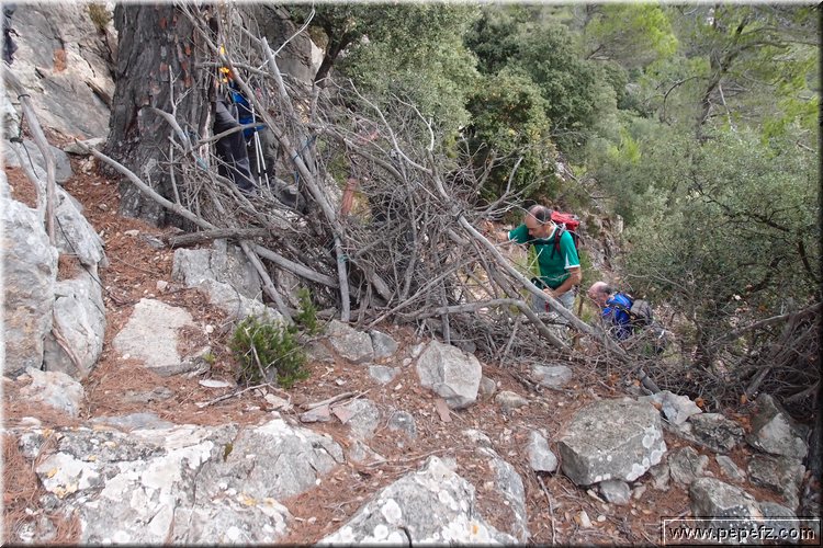 PA105814.JPG