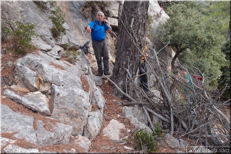 PA105816.JPG