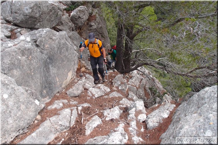 PA105823.JPG