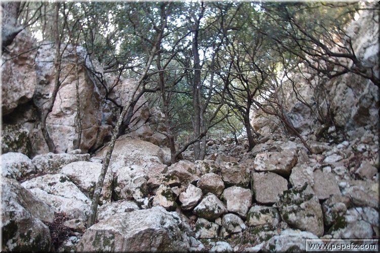 PA105875.JPG