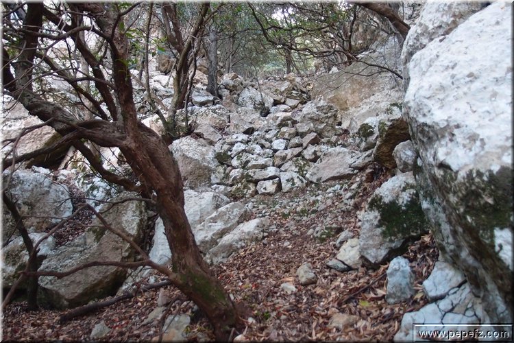 PA105879.JPG