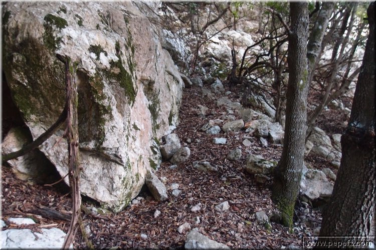 PA105881.JPG