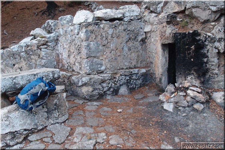 PA105886.JPG