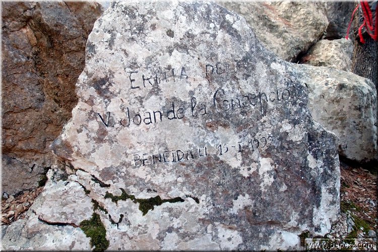 PA105887.JPG