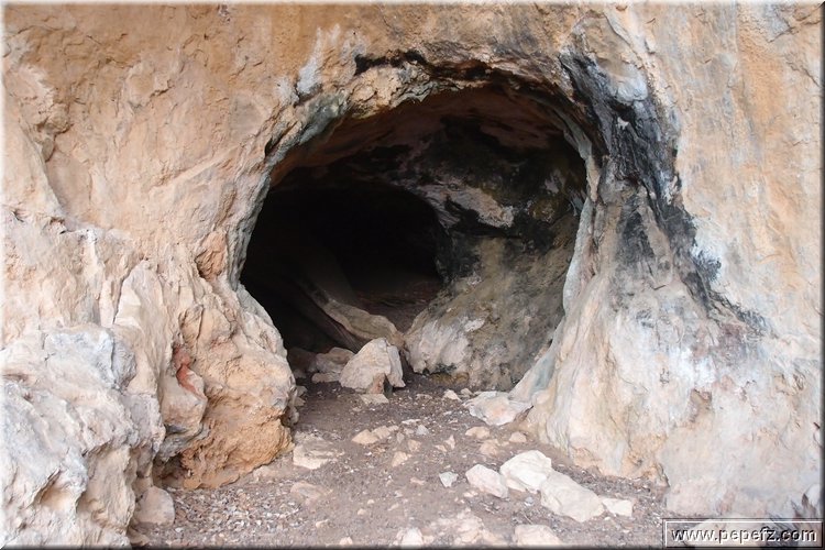 PA105889.JPG