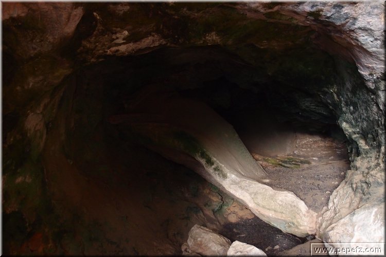 PA105890.JPG