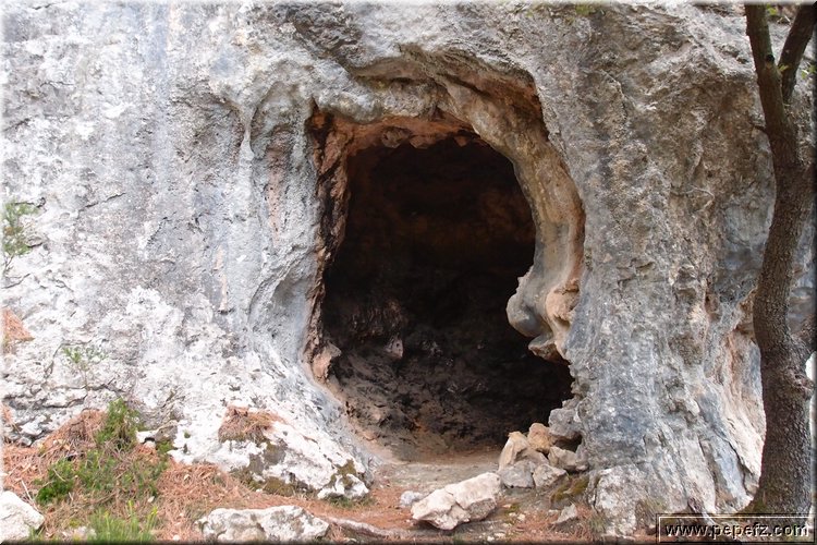 PA105892.JPG