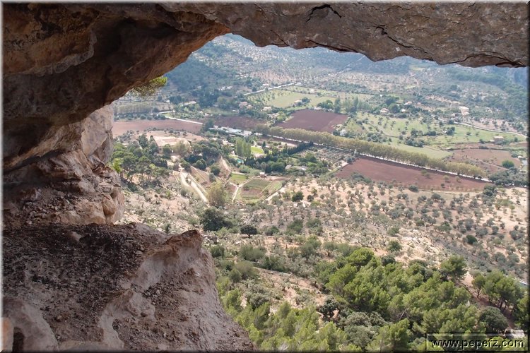 PA105898.JPG