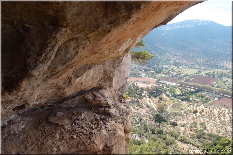 PA105899.JPG