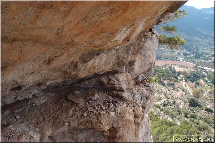 PA105907.JPG