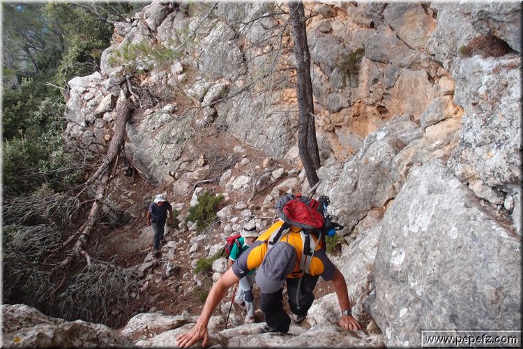 PA105914.JPG