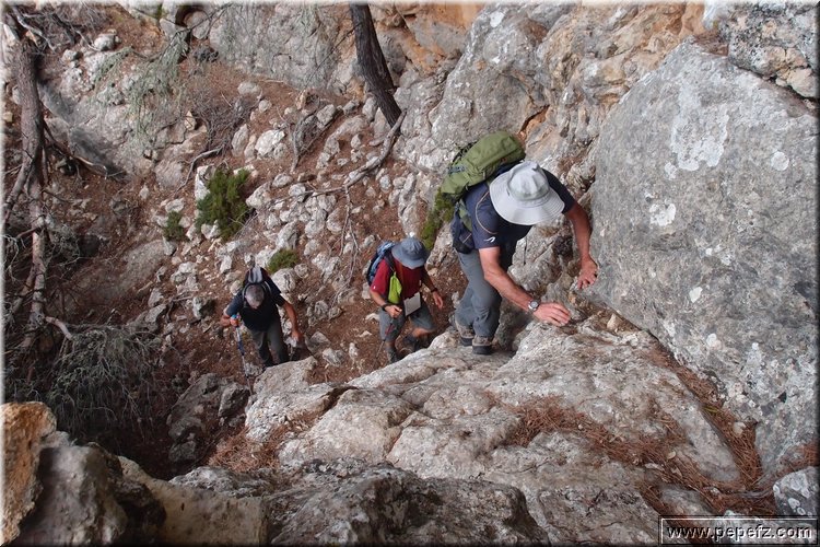 PA105918.JPG