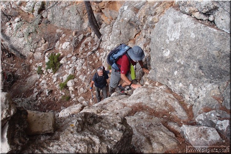 PA105920.JPG
