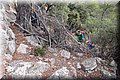 PA105814.JPG