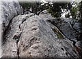 PA105846.JPG