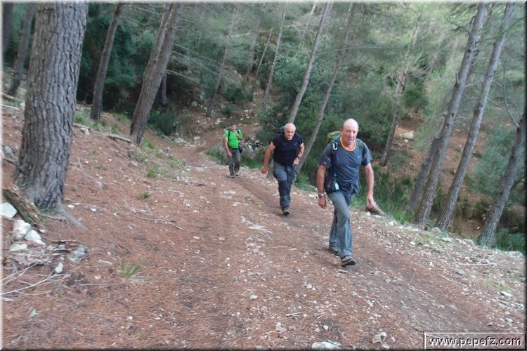 PA146020.JPG
