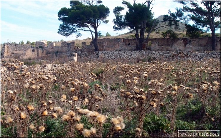 PA146027.JPG