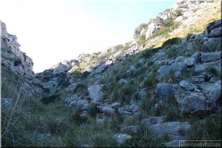 PA146037.JPG